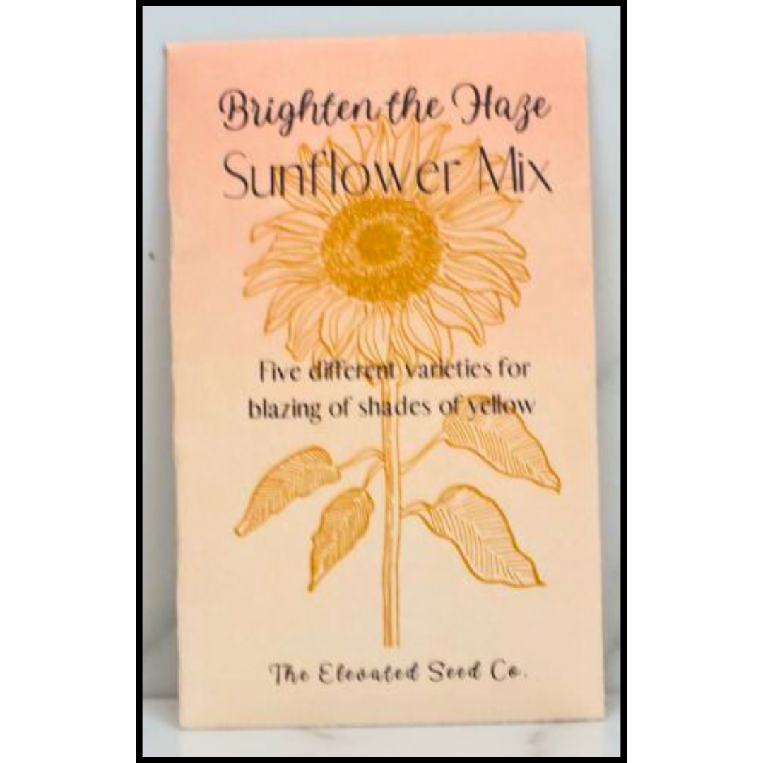 Brighten The Haze Sunflower Mix Seed Packet