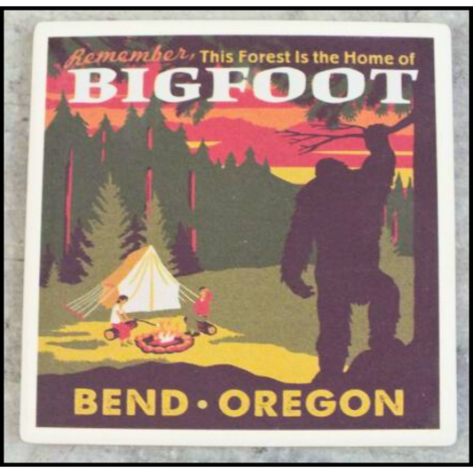Bigfoot Bend Coaster